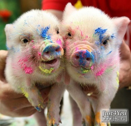 Галина Осипова