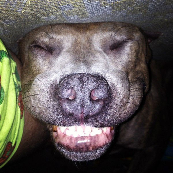 Леша Князев