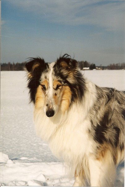 Анна Белозерова