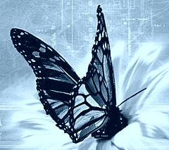 Елена Лаухина