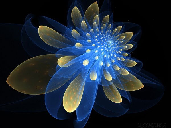 Ветмедицина Черноморское