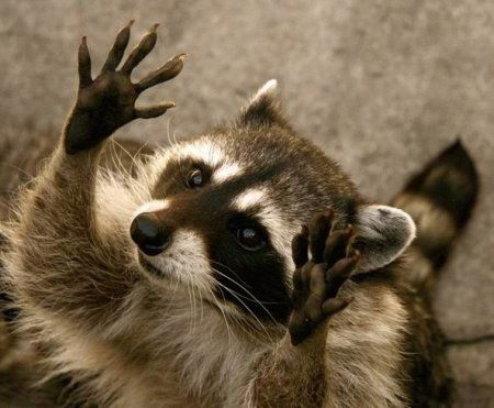 Лилия Василой