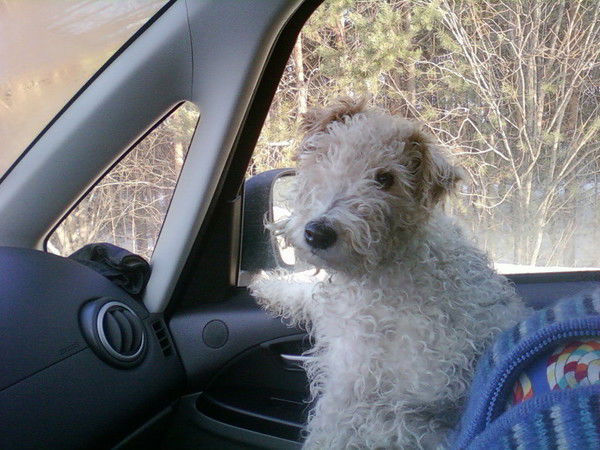 Александр Заботин