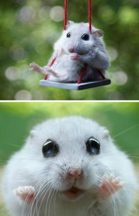 Лера Гончарова