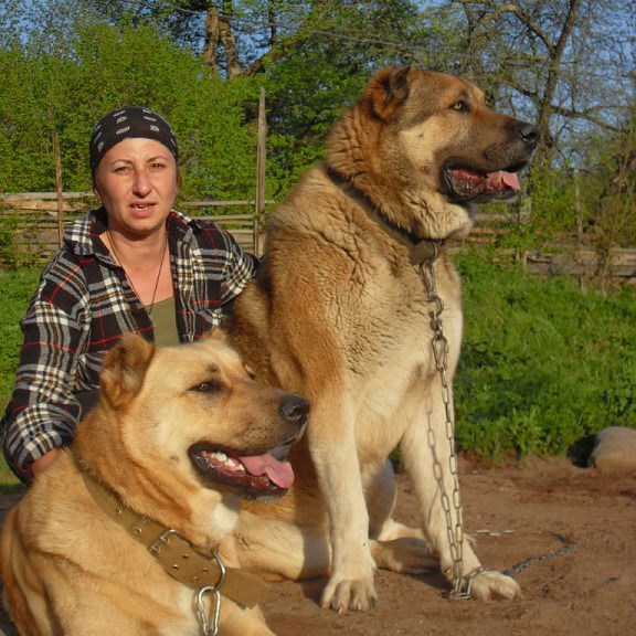 Света Тауэр