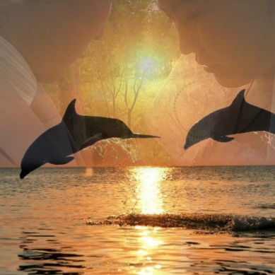 Айнур Оспанова