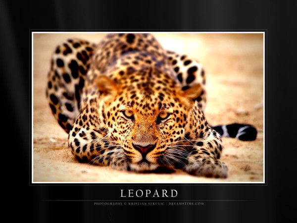 Евгения Ракова