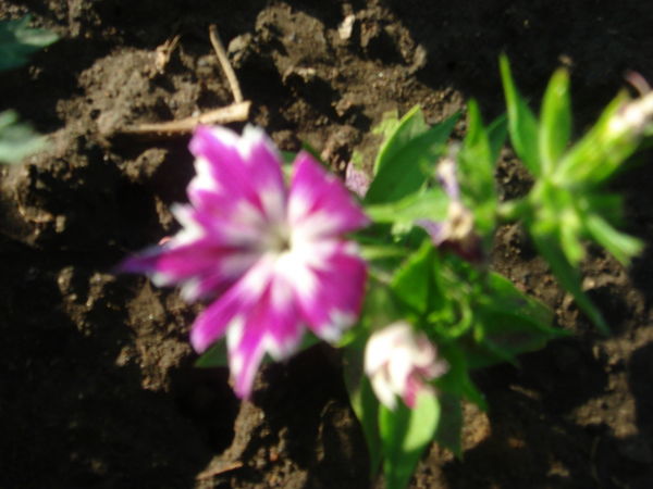 Татьяна Овчинникова