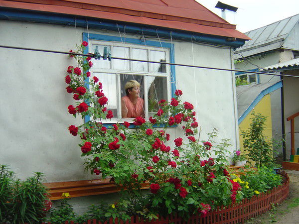 Наталья Орехова