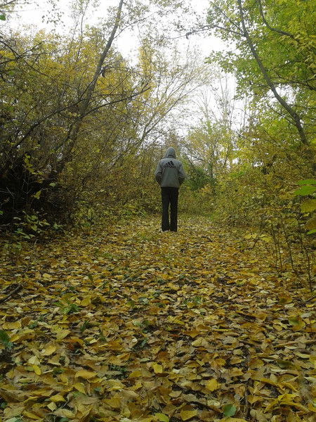 Александр Скрипников