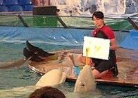 Ирина Сушкова