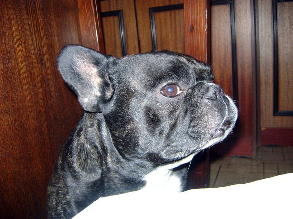 Оксана Скрипник