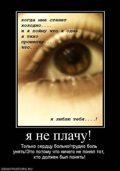 Любимая Кошечка