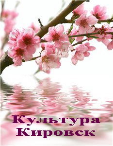 Культура Г. Кировск