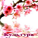 Культура Г. Кировск