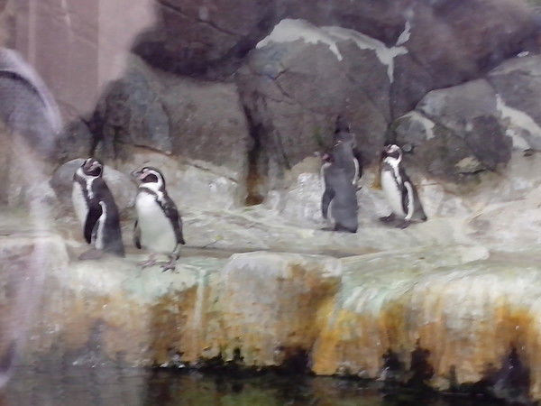 Валентина Вознесенская