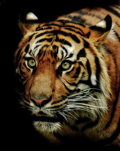 Кабыкен Жексембаев