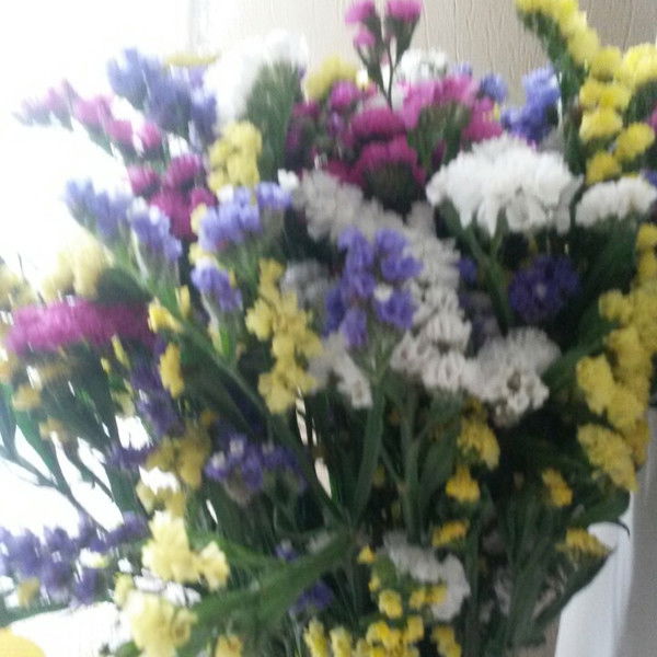 ********* **************