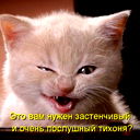 Дмитрий Карабашев