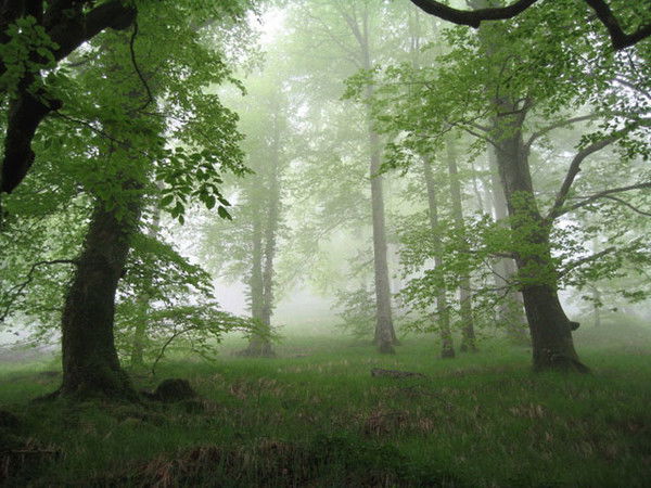 Фаим Валеев