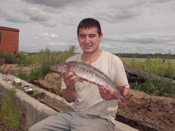 Артур Камалтдинов