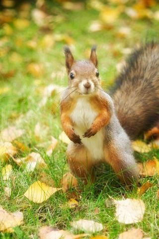 Марина Белкина