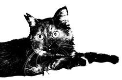 Василий Шишелов