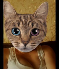 Анастасия Чечулина