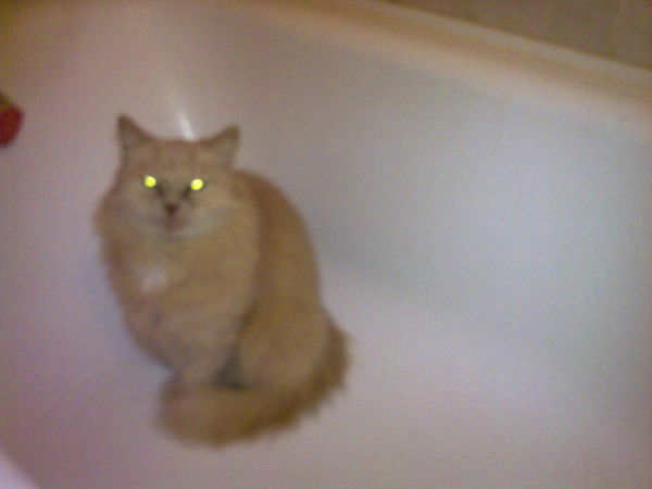 Наталья Дубова