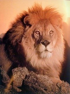 Михаил Щербаков