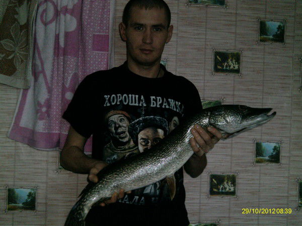 Игорь Колокольцов