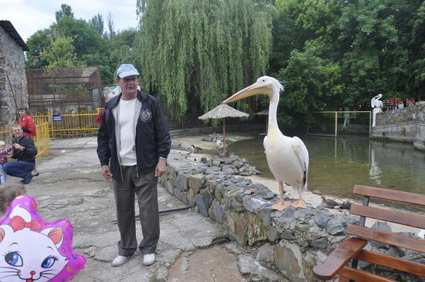 Владимир Володин