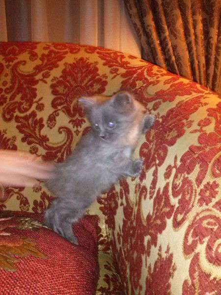 Альбина Набиуллина