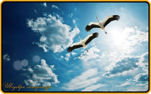 Галия Дильманова