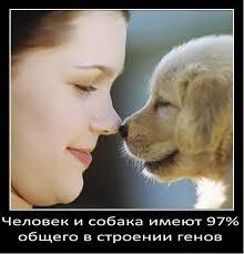 Лилия Лилия