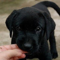 Екатерина Лавейкина