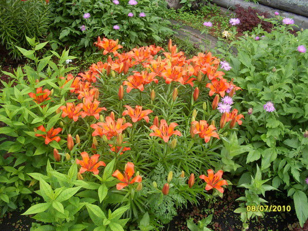 Наталья Попова