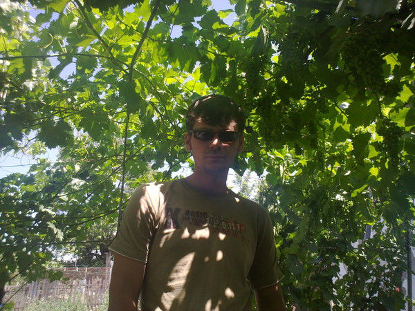 Николай Муленков