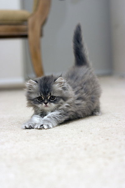 Наталья Галкова