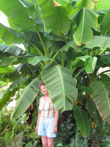 Наталья Михалева