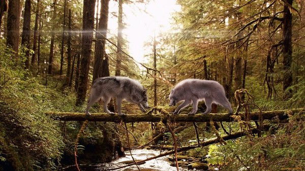 Настя Дунаева