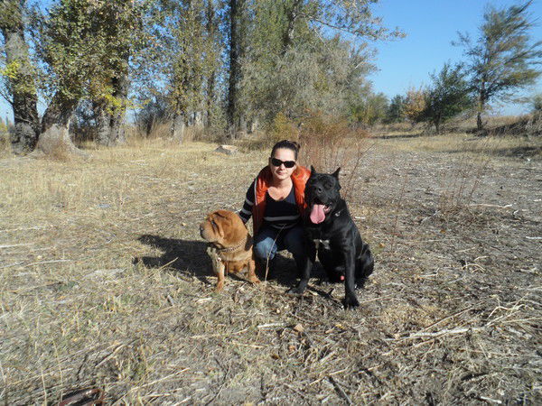 Ирина Ашихмина