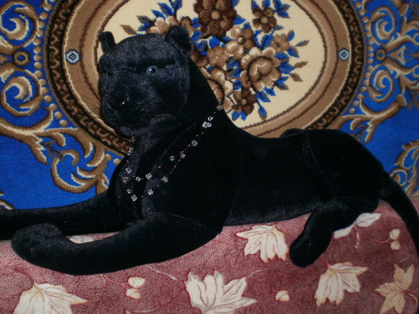 Яна Шевченко