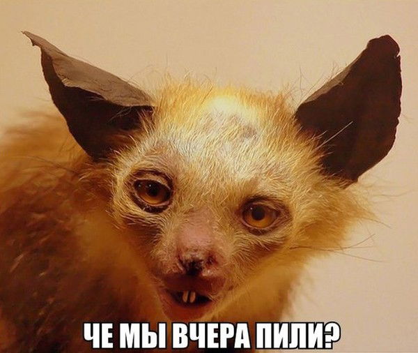 Пётр Контанистов