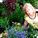 Елена Чернова