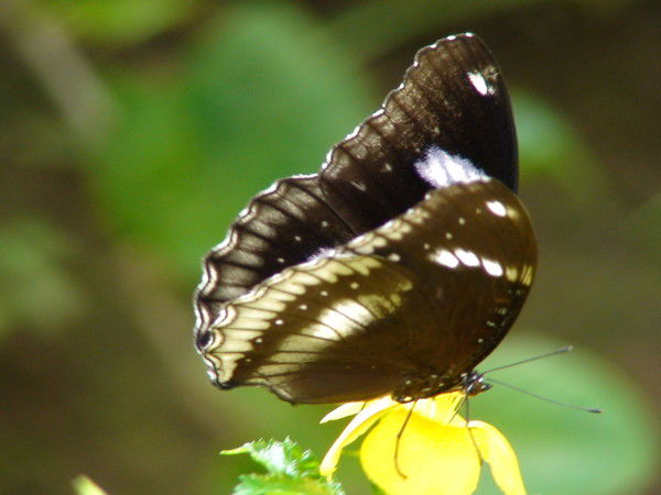 Наталья Леонтьева