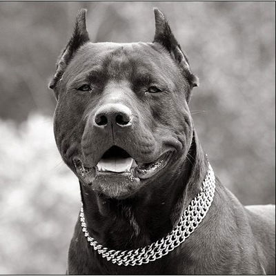 Назар Крамар