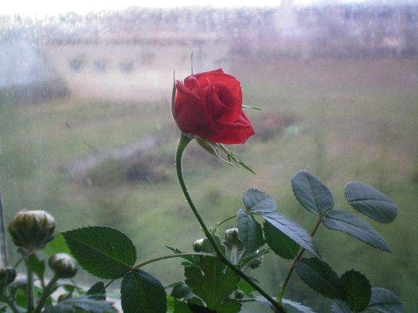 Татьяна Гаврилова