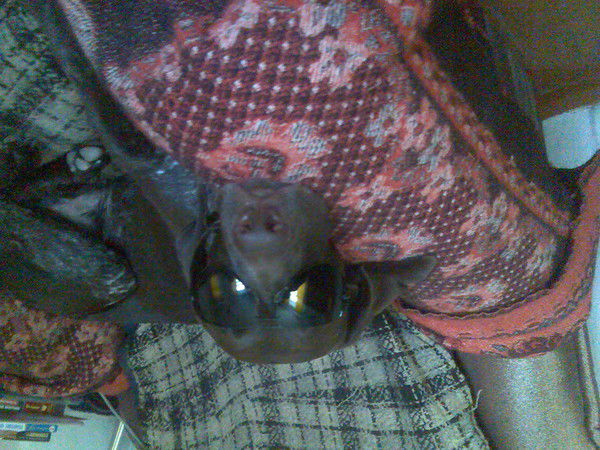 Владимир Сорочинский