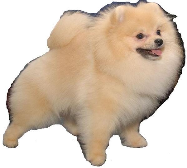 Татьяна Крюкова